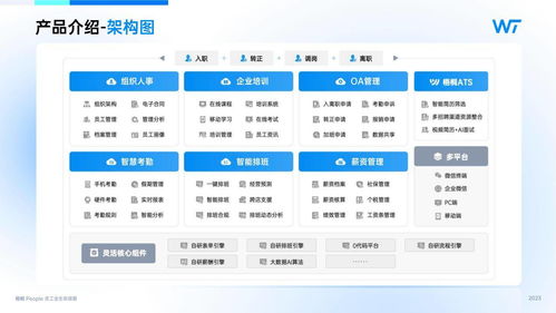 金柚网“梧桐People” 以AI技术驱动员工全生命周期管理，赋能昆明企业效能提升